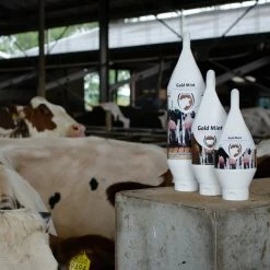 Euro Joe Gold Mint Sta-/Hang Tube 8 Euro Joe Gold Mint Sta-/Hang Tube -Euro Joe Shop 135962