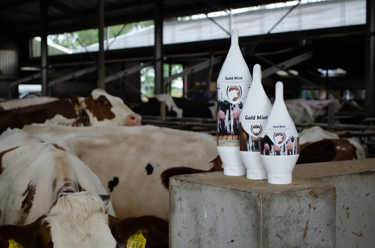 Euro Joe Gold Mint Sta-/Hang Tube 5 Euro Joe Gold Mint Sta-/Hang Tube - Image 3