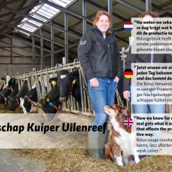 Euro Joe UNO Grow (Jongvee)