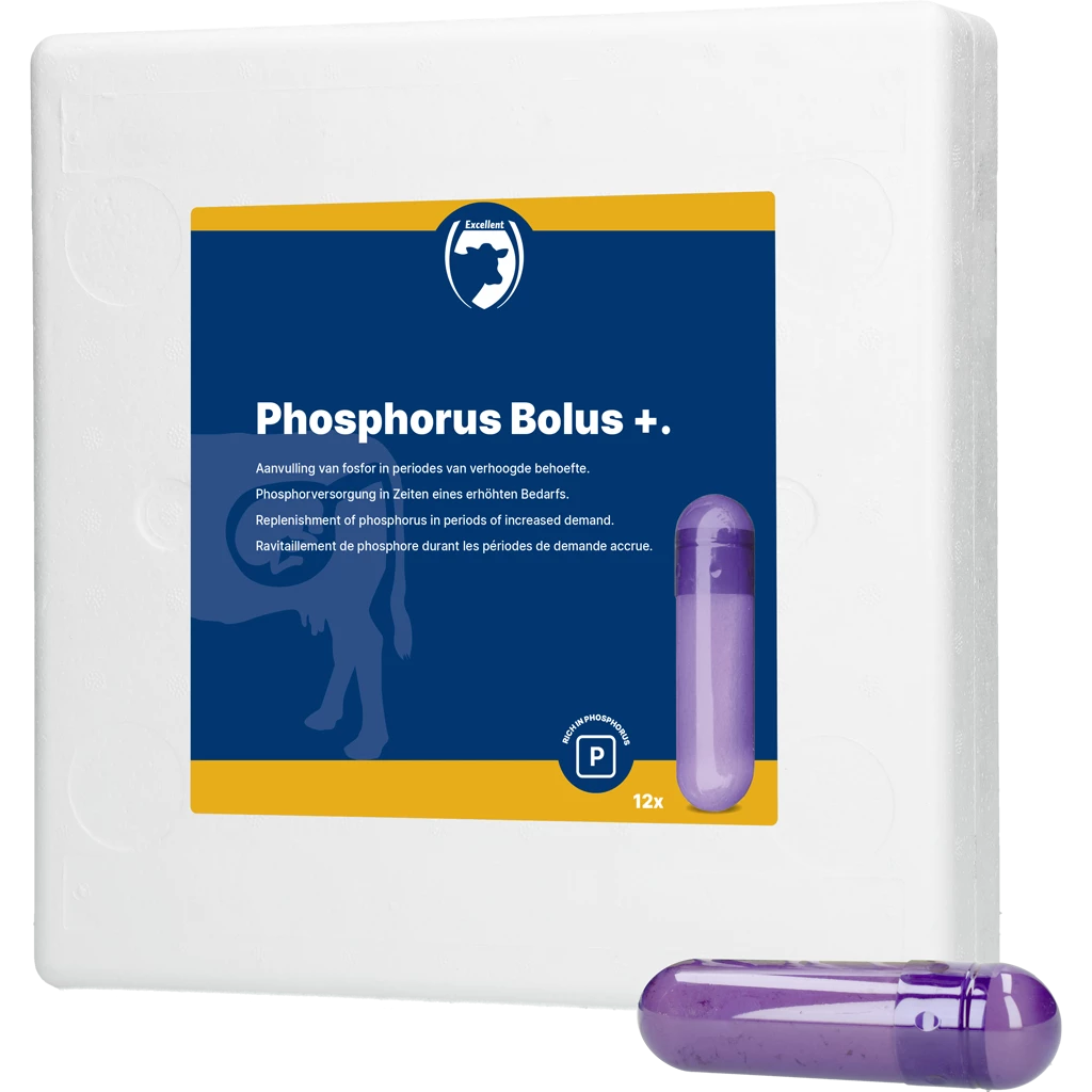 Euro Joe Fosfor Bolus+ 3 Euro Joe Fosfor Bolus+