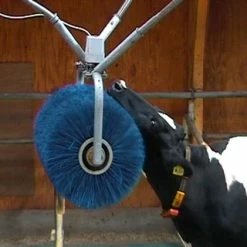 Euro Joe Veeborstel "Vink"Roterend