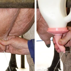 Euro Joe Kalveremmer Speen 100 Mm Peach Teats