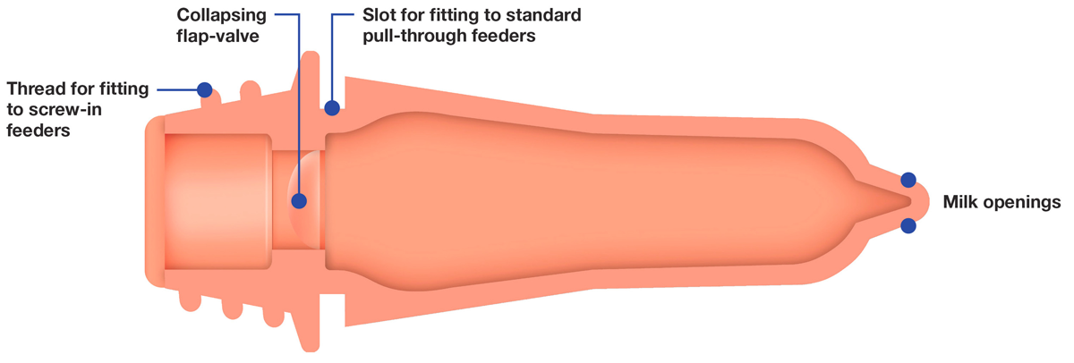 Kalveremmer speen 100 mm Peach Teats Euro Joe Kalveremmer Speen 100 Mm Peach Teats -Euro Joe Shop 260472