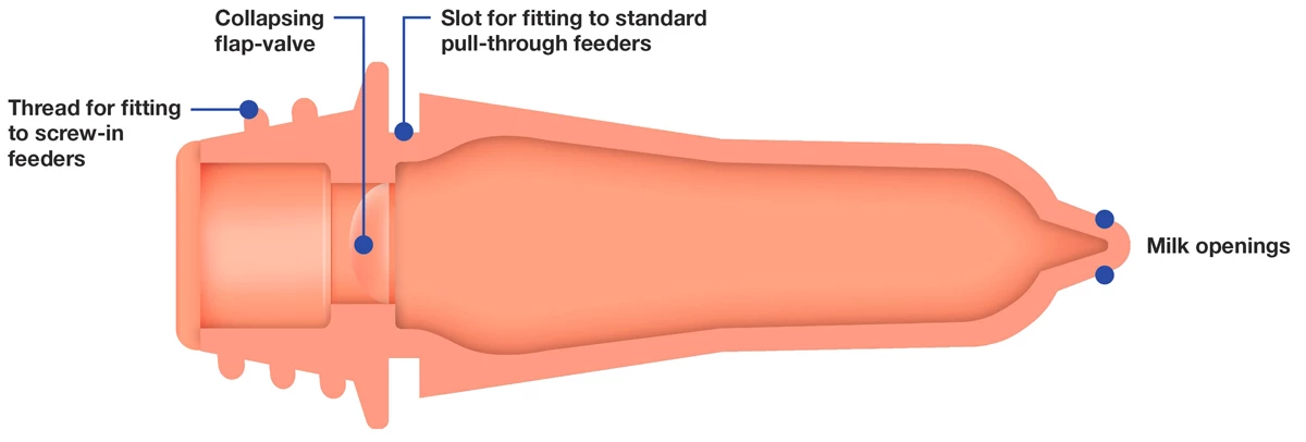 Euro Joe Kalveremmer Speen 100 Mm Peach Teats 6 Euro Joe Kalveremmer Speen 100 Mm Peach Teats - Image 4