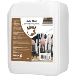 Euro Joe Gold Mint Grootverpakking Incl. Dosator