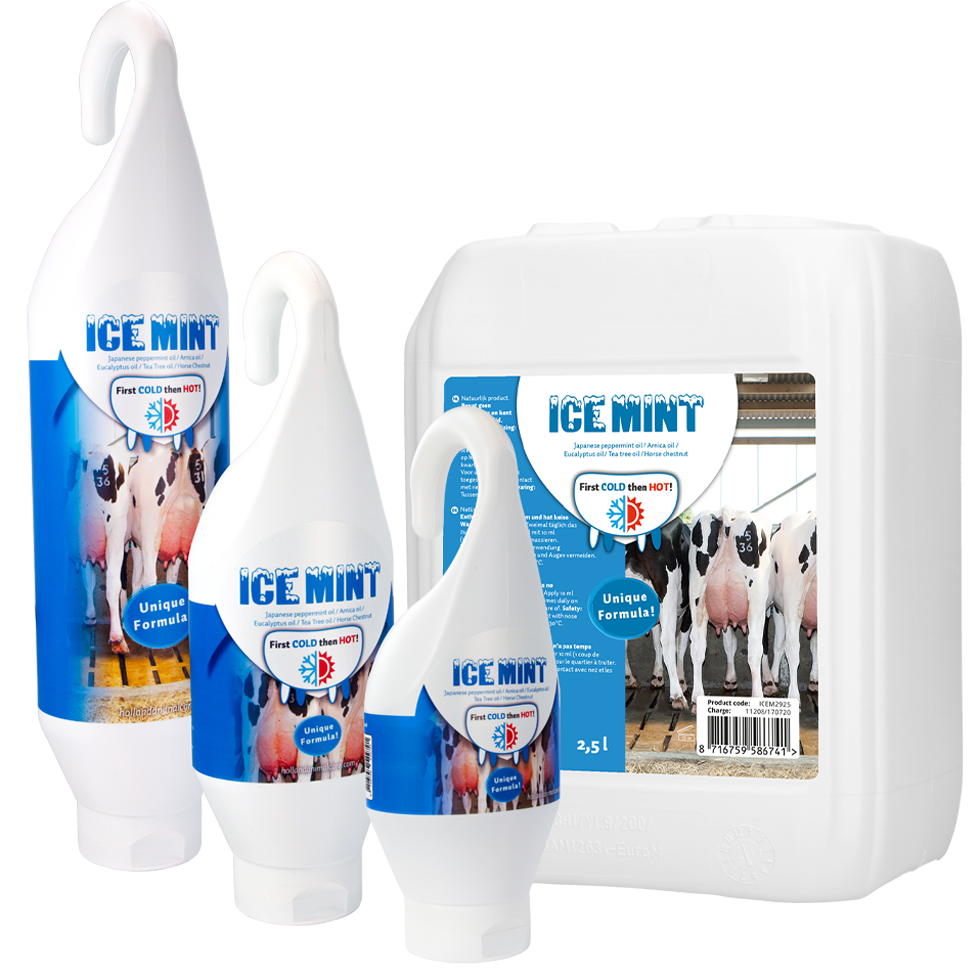Euro Joe Ice Mint Gel Sta- / Hangtube 4 Euro Joe Ice Mint Gel Sta- / Hangtube - Image 2
