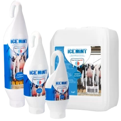 Euro Joe Ice Mint Gel Sta- / Hangtube