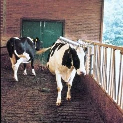 Euro Joe Veeborstel Compleet