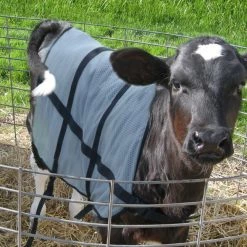 Euro Joe Bodyguard Zomer Dekje Kalf 9 Euro Joe Bodyguard Zomer Dekje Kalf -Euro Joe Shop 262028