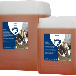 Euro Joe Diton (slepende Melkziekte)