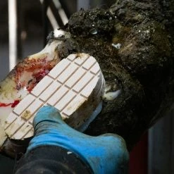 Euro Joe Easy Hoof Block Hout 8 Euro Joe Easy Hoof Block Hout -Euro Joe Shop 262837 scaled