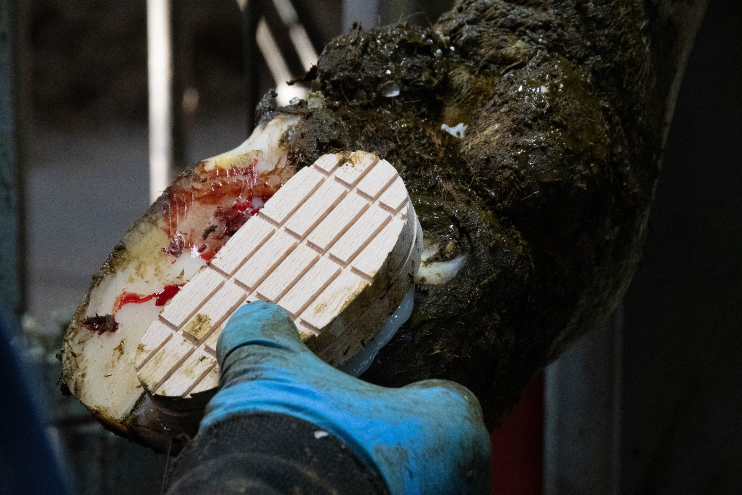 Easy Hoof Block hout Euro Joe Easy Hoof Block Hout -Euro Joe Shop 262837 scaled