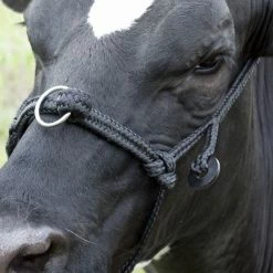 Euro Joe Koehalster Verstelbaar Breed Zwart -Euro Joe Shop 264361