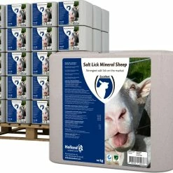 Euro Joe Liksteen "MINERAL" Schaap -Euro Joe Shop 264960 1