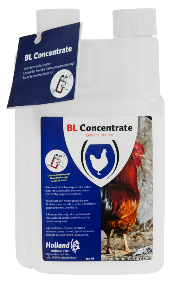 BL Concentraat Euro Joe BL Concentraat -Euro Joe Shop 266212