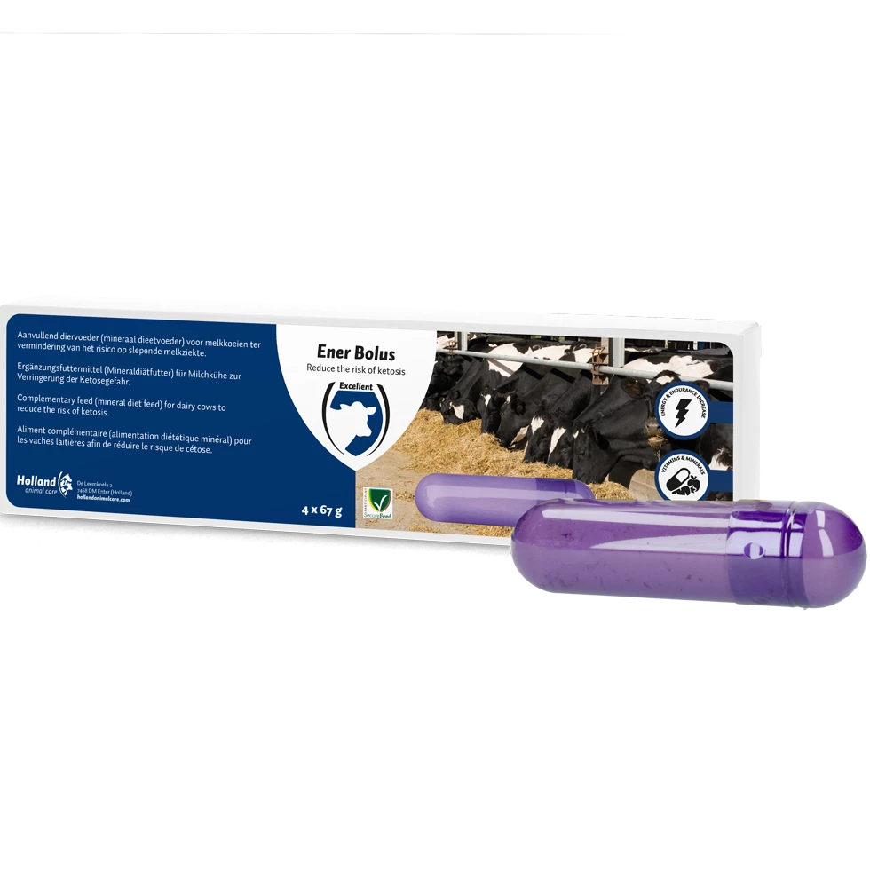 Euro Joe Ener Bolus 3 Euro Joe Ener Bolus