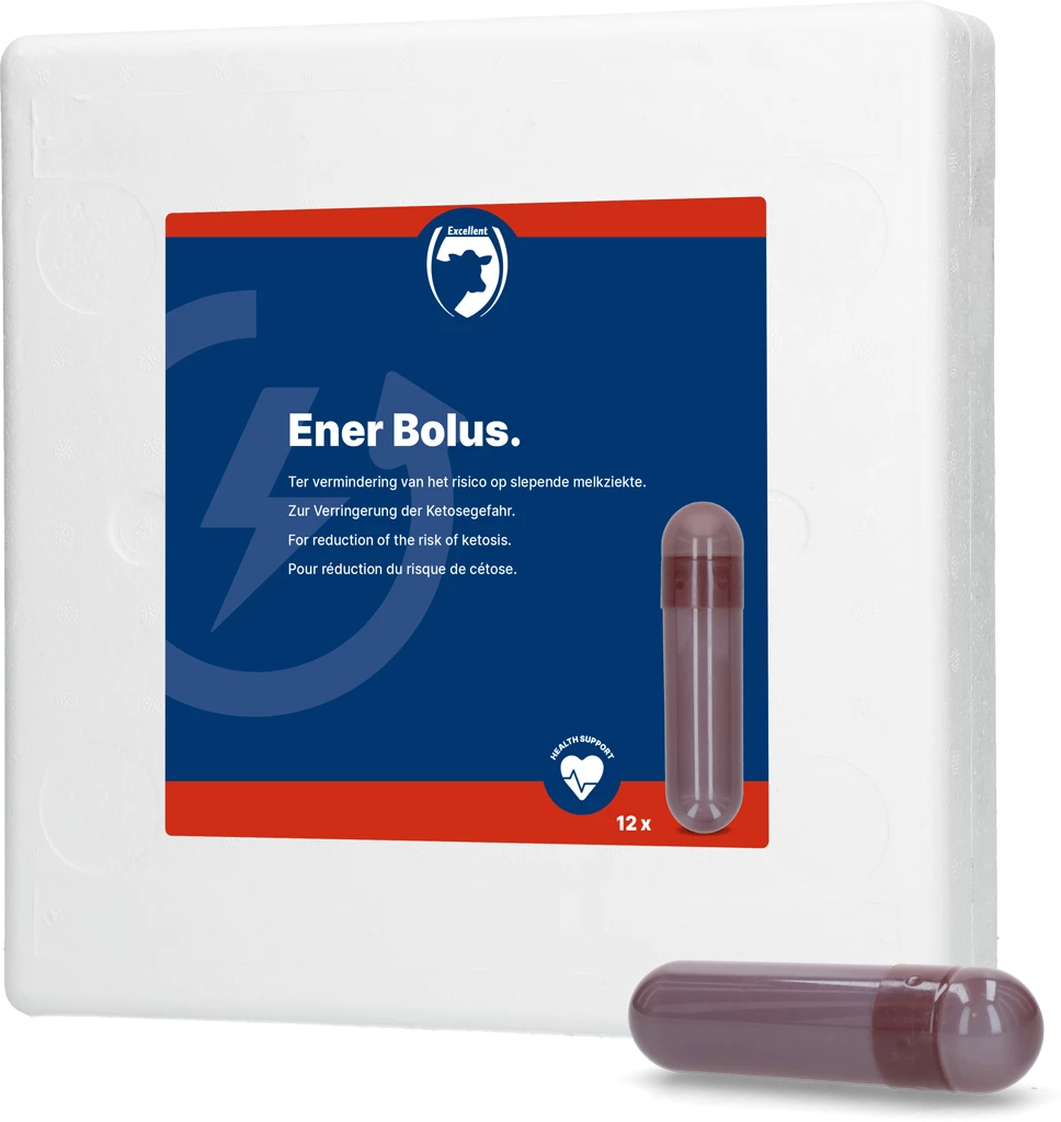 Euro Joe Ener Bolus 3 Euro Joe Ener Bolus