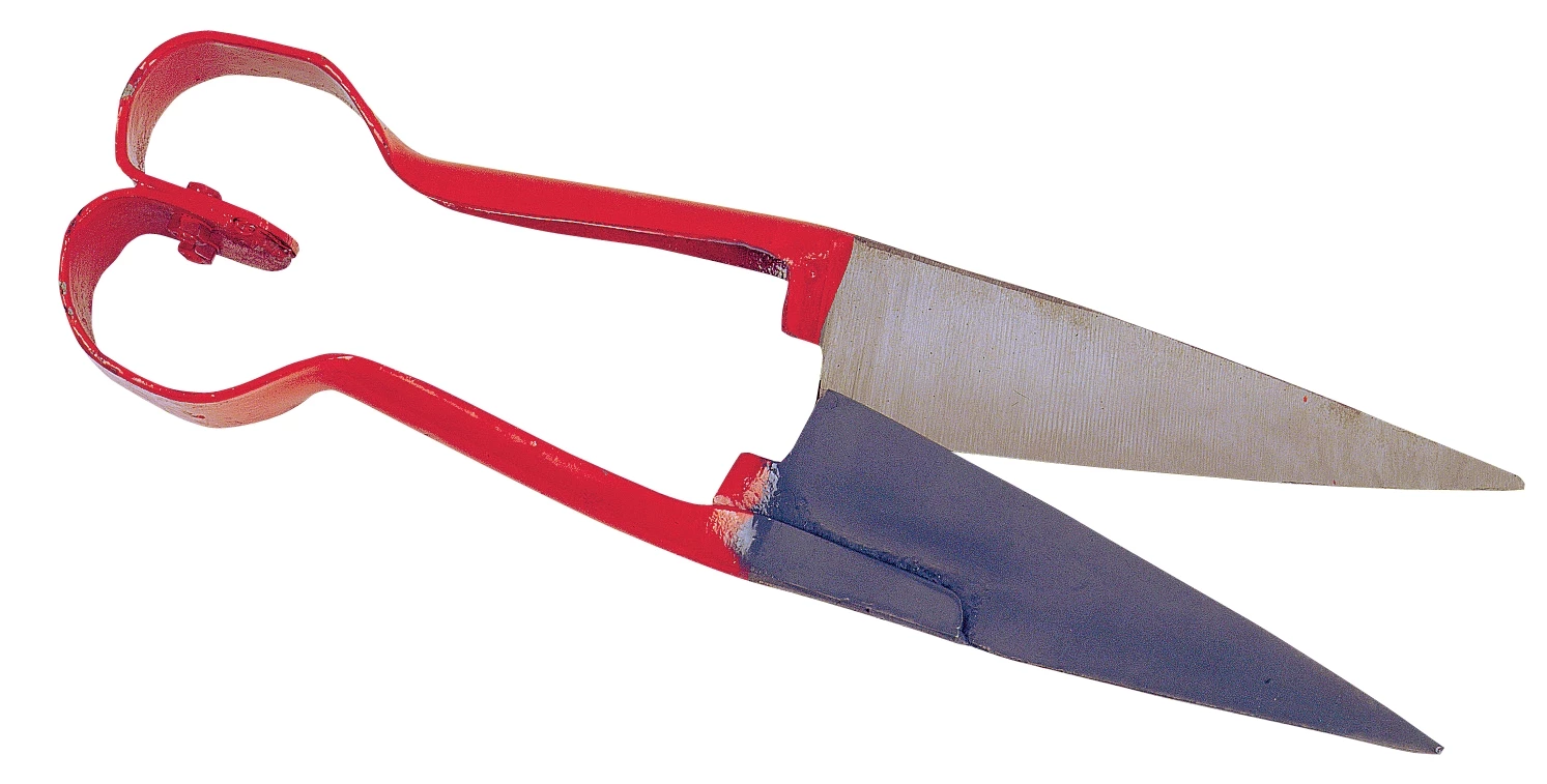 Euro Joe Schapenwolschaar Hartmodel 4 Euro Joe Schapenwolschaar Hartmodel - Image 2