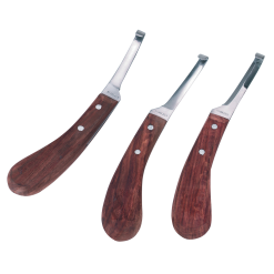 Euro Joe Hoefmes Sharp "R"