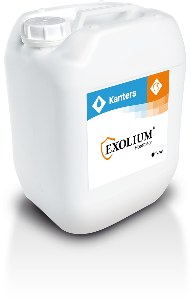 Kanters Hoofclear Euro Joe Kanters Hoofclear -Euro Joe Shop 268731