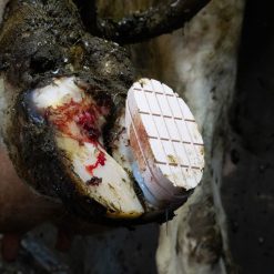 Euro Joe Easy Hoof Block Hout 5 Euro Joe Easy Hoof Block Hout -Euro Joe Shop 272830 scaled