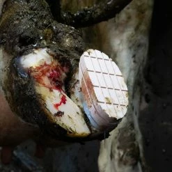 Euro Joe Easy Hoof Block Hout 9 Euro Joe Easy Hoof Block Hout -Euro Joe Shop 272830 scaled