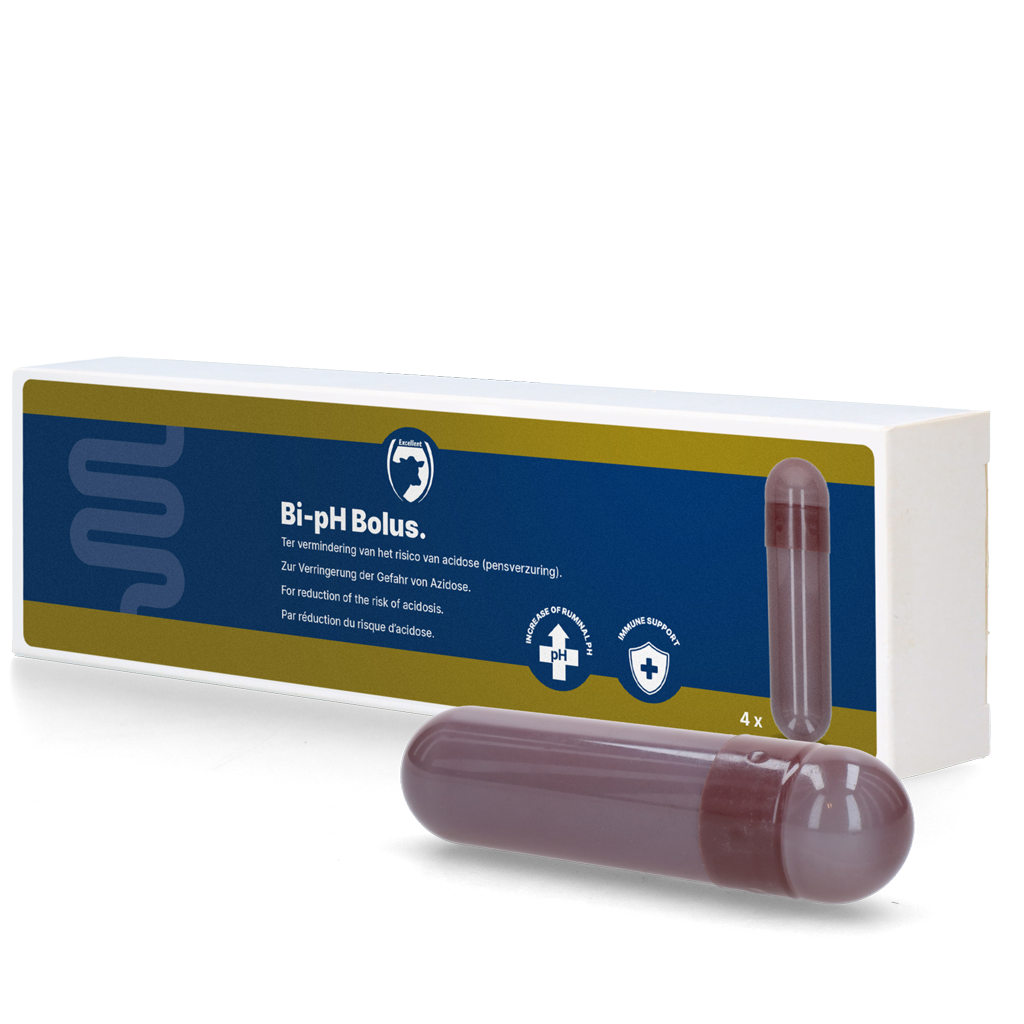 Euro Joe Bi-pH Bolus (Bicarbonaat Bolus) 3 Euro Joe Bi-pH Bolus (Bicarbonaat Bolus)