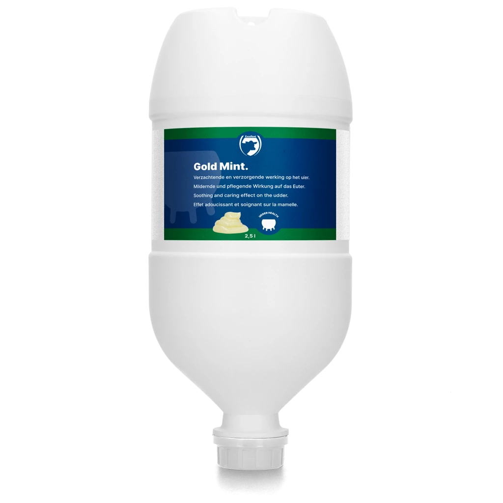 Euro Joe Gold Mint Hangtube 3 Euro Joe Gold Mint Hangtube