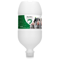 Euro Joe Maxi Mint Plus Hangtube