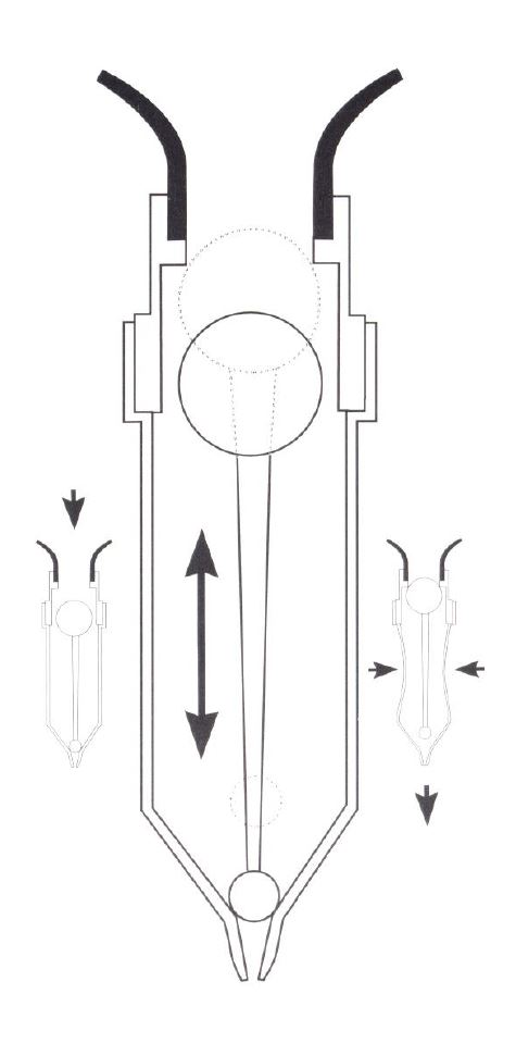 Doseerspeen voor Mint 2,5 l Euro Joe Doseerspeen Voor Mint 2,5 L -Euro Joe Shop 273308