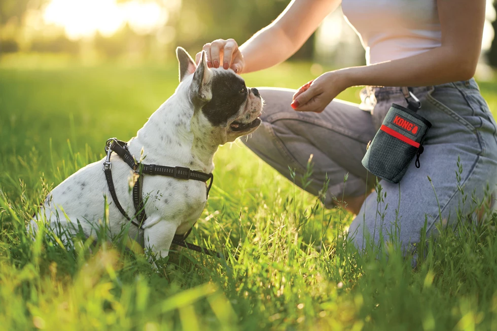 Euro Joe KONG Treat Bag 5 Euro Joe KONG Treat Bag - Image 3