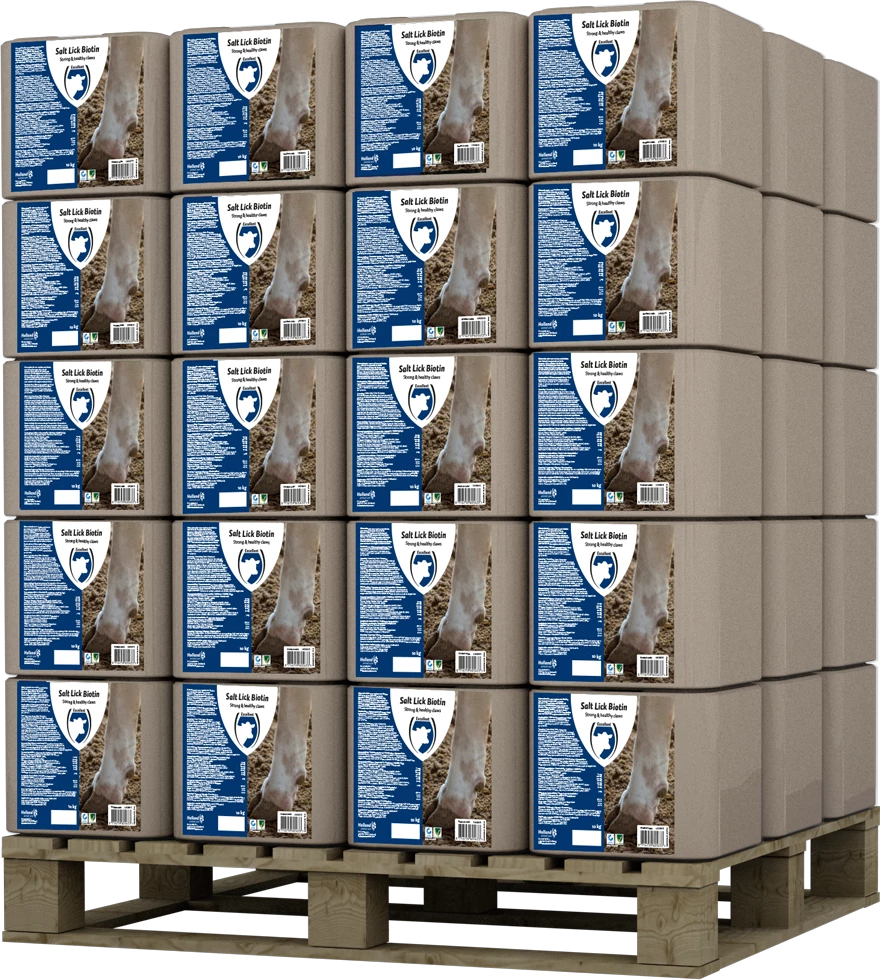 Euro Joe Liksteen "BIOTIN" 4 Euro Joe Liksteen "BIOTIN" - Image 2