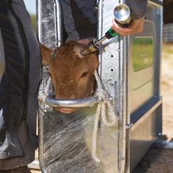 Euro Joe Express Fixatiekooi Voor Kalf 9 Euro Joe Express Fixatiekooi Voor Kalf -Euro Joe Shop 275618