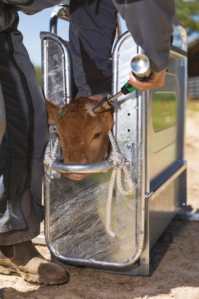 Euro Joe Express Fixatiekooi Voor Kalf 6 Euro Joe Express Fixatiekooi Voor Kalf - Image 4