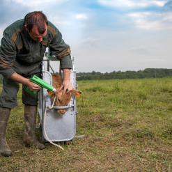 Euro Joe Express COSMOS Met Accu Voor Kalf -Euro Joe Shop 275625