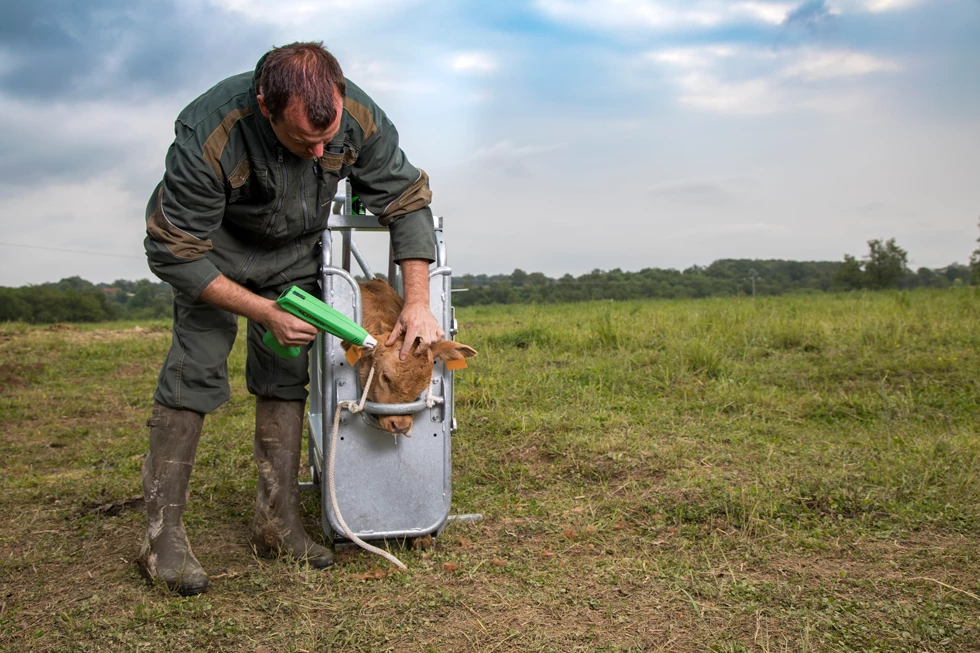 Euro Joe Express COSMOS Met Accu Voor Kalf 6 Euro Joe Express COSMOS Met Accu Voor Kalf - Image 4