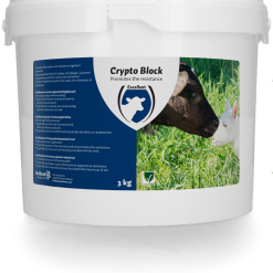 Euro Joe Crypto Block Voor Kalveren