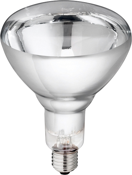 Lamp 150w wit Hard Glas Philips Euro Joe Lamp 150w Wit Hard Glas Philips -Euro Joe Shop 90165