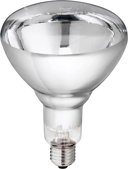Euro Joe Lamp 150w Wit Hard Glas Philips 3 Euro Joe Lamp 150w Wit Hard Glas Philips