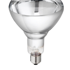 Euro Joe Lamp 250w Wit Hard Glas Philips