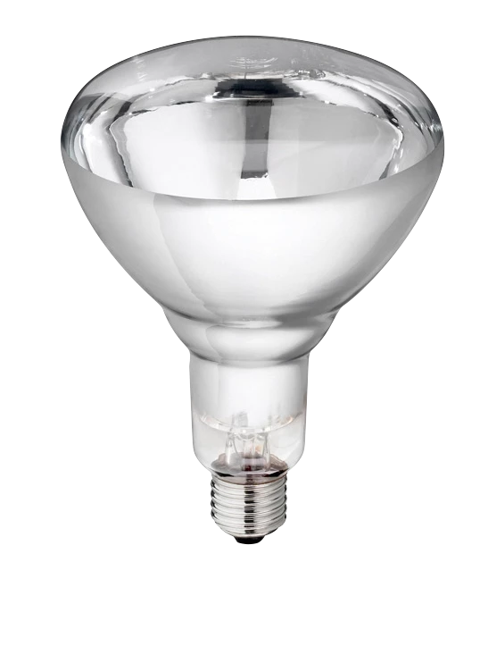 Euro Joe Lamp 250w Wit Hard Glas Philips 3 Euro Joe Lamp 250w Wit Hard Glas Philips