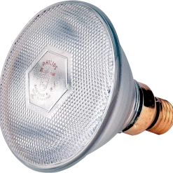 Euro Joe Lamp 100 W Wit Philips Spaar