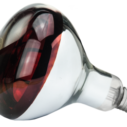 Euro Joe Lamp 150 W Infrarood Hard Glas 3 Euro Joe Lamp 150 W Infrarood Hard Glas -Euro Joe Shop 90169 1