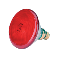 Euro Joe Lamp 100 W Rood Philips Spaar