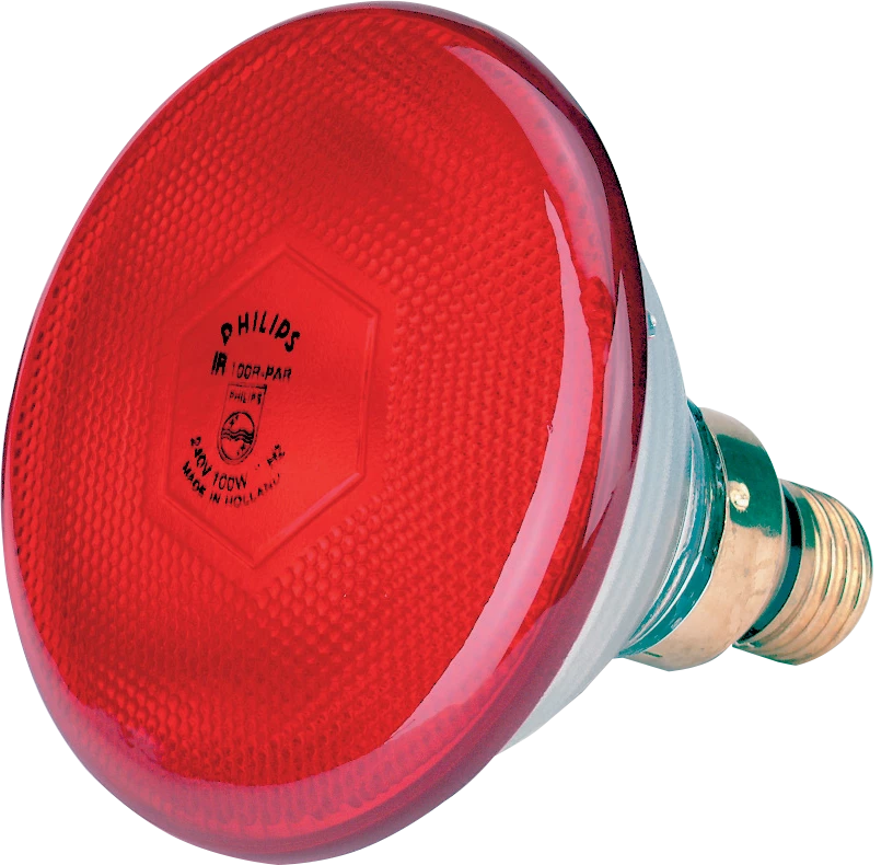 Euro Joe Lamp 175 W Rood Philips Spaar 3 Euro Joe Lamp 175 W Rood Philips Spaar