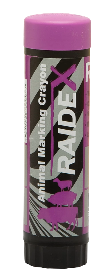 Euro Joe Merkstift Paars Raidl 4 Euro Joe Merkstift Paars Raidl - Image 2