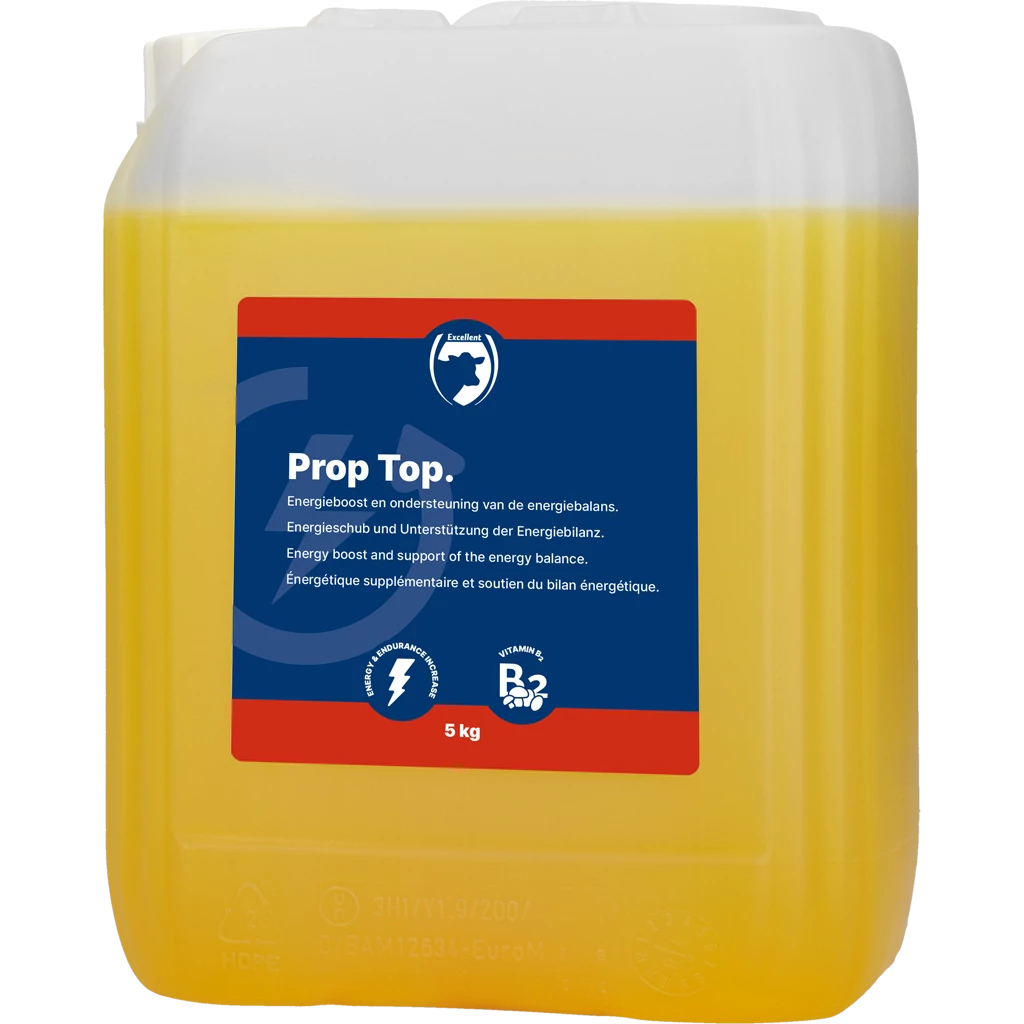 Euro Joe Prop Top 3 Euro Joe Prop Top