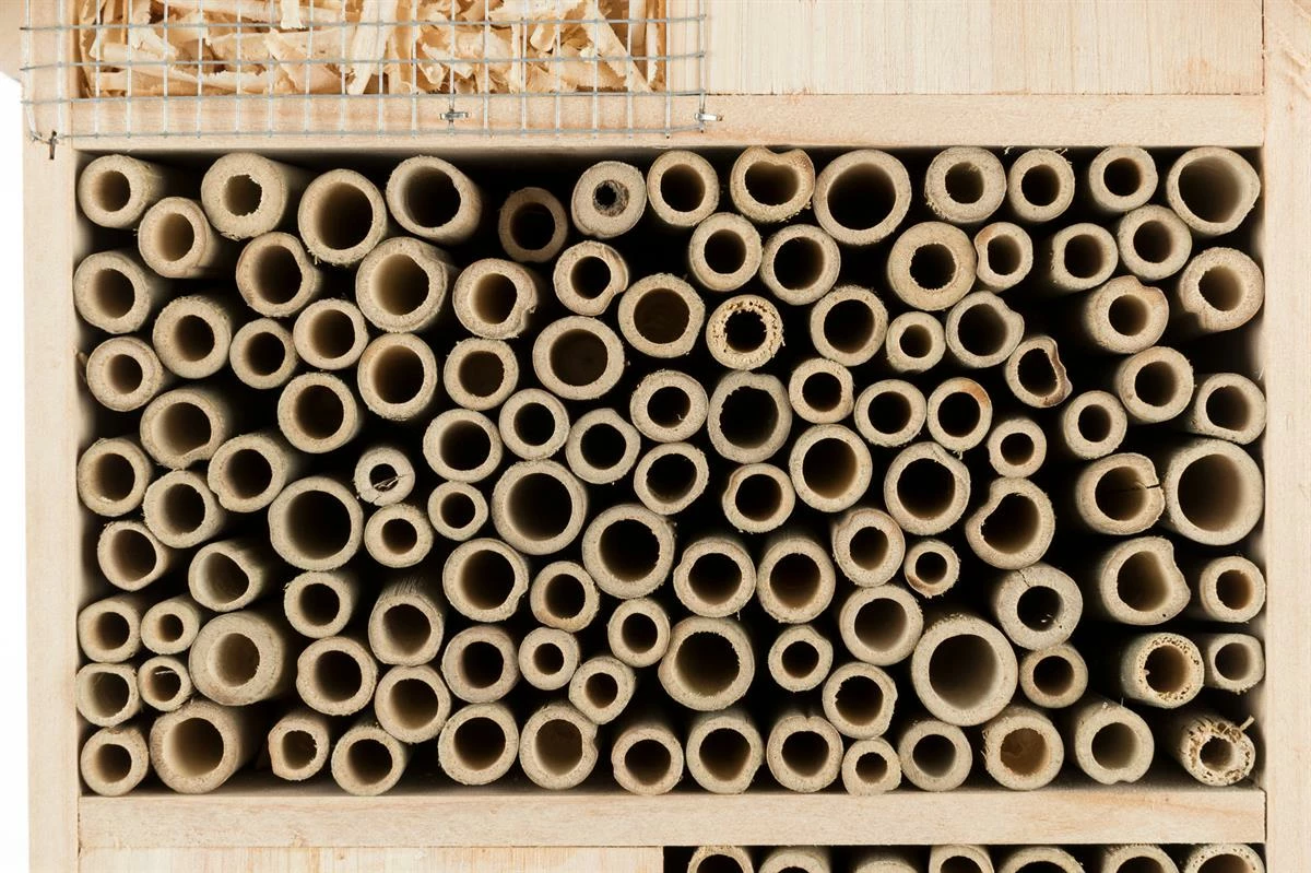 Euro Joe Insect Hotel, Wood 5 Euro Joe Insect Hotel, Wood - Image 3