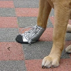 Euro Joe Protection Paw Shoes