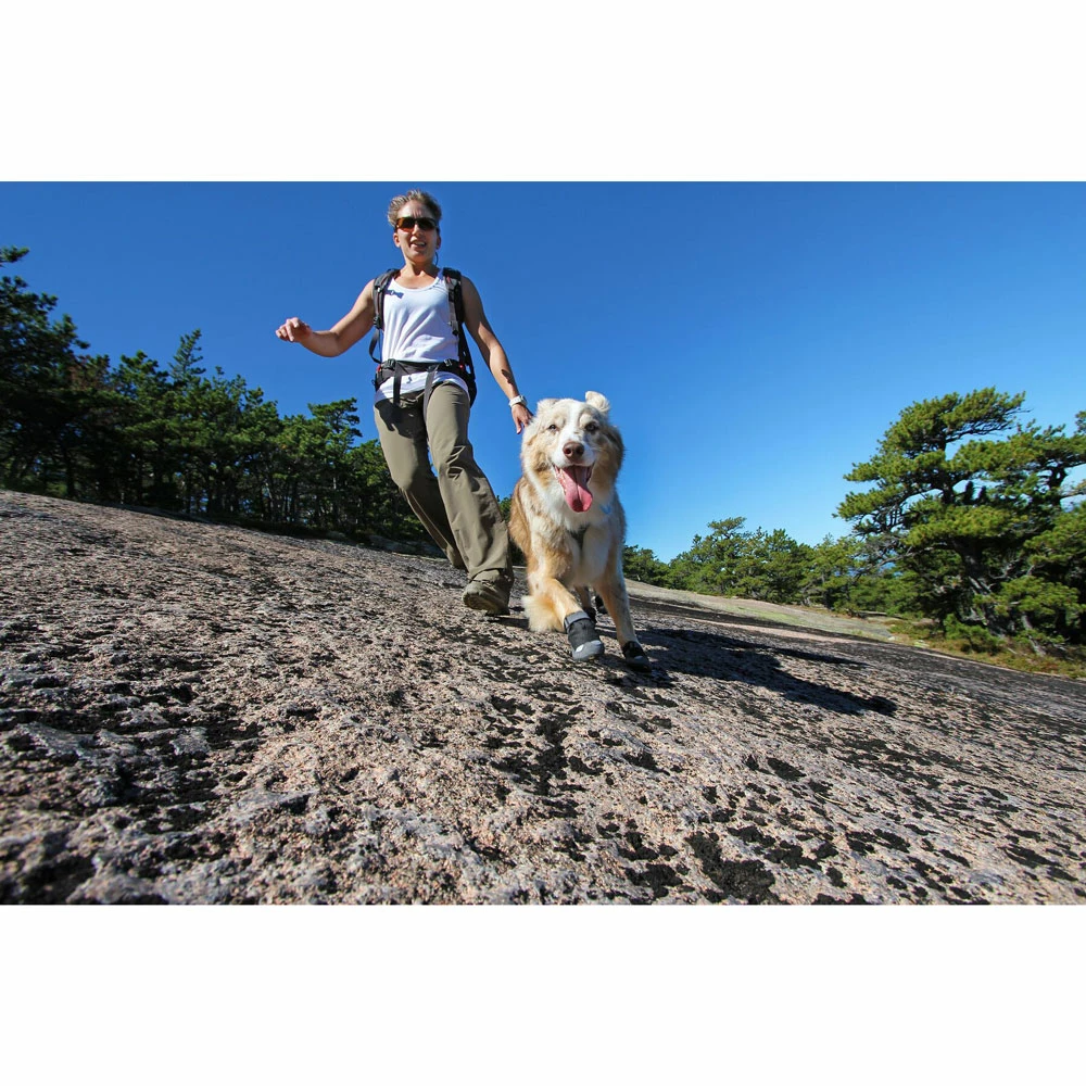 Euro Joe Barkn' Boots Grip Trex - Set Of 2 9 Euro Joe Barkn' Boots Grip Trex - Set Of 2 - Image 7